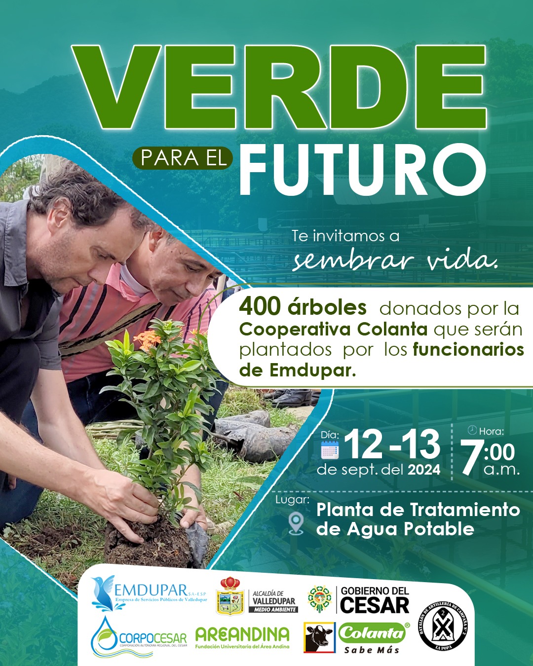arte plantar